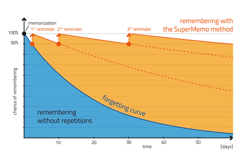 forgeting curve